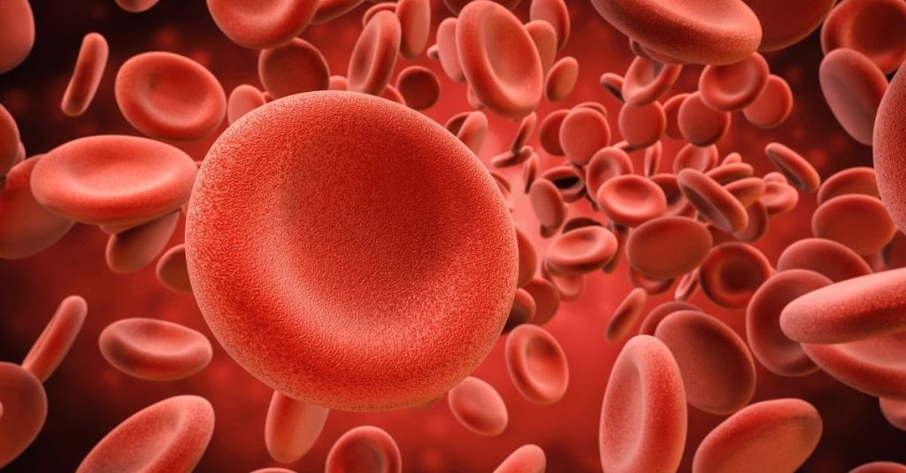 Human Cell Defenses Intro